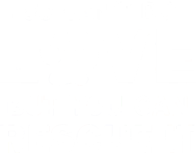 You Can't Buy Love But You Can Rescue It Women's Long Sleeve Shirt