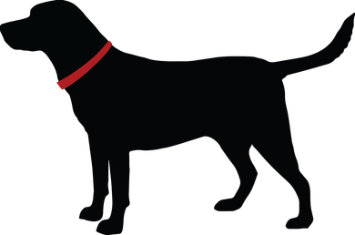 Labrador Retriever Black Tote Bag