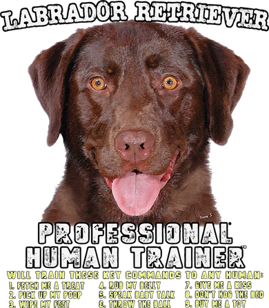 Labrador Retriever Chocolate Lab Professional Human Trainer Cute Dog Polo