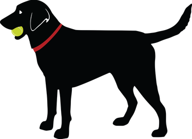 Labrador Retriever Fetch Black Lab Play Ball Tote Bag