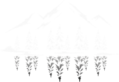 Landscape Reflection Nature Trees Forest Outdoor Mountain Doggie Tank