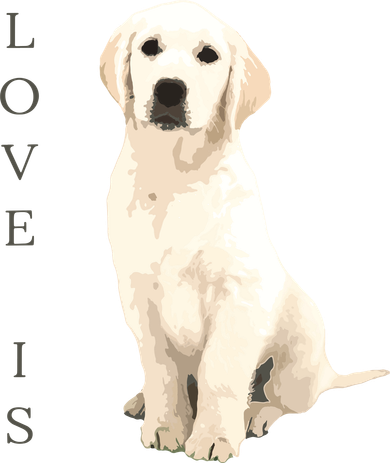 Labrador Retriever Women Men Kids White Lab Dog Mom Long Sleeve Shirt