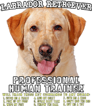 Labrador Retriever Yellow Lab Professional Human Trainer Polo