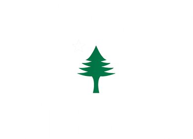 Lewiston Strong Kids T-Shirt