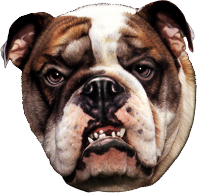 Tan Bulldog Button