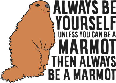 Marmot Always Be Yourself Unless You Can Be A Marmot Women's V-Neck T-Shirt