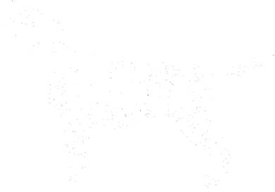 Dog Mama Mom Doggie Tank