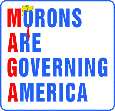 Morons Are Governing America Funny Trump 2024 (5) Women's T-Shirt