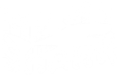 Mama Shark Coaster