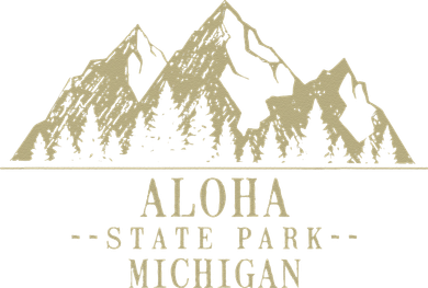 Michigan Aloha State Park Toddler T-Shirt
