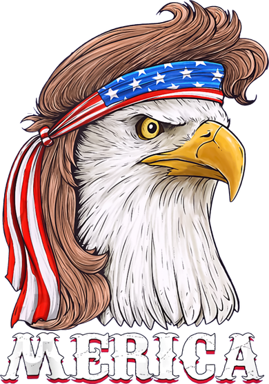 Merica Bald Eagle Mullet 4th Of July American Flag Toddler Hoodie