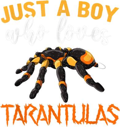 Men Boys Kids Just A Boy Who Loves Tarantulas Spider Kids Sweatshirt