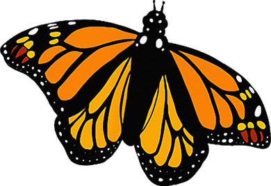 Monarch Butterfly Pocket By Milkweed Mavens Nature Doggie Tank