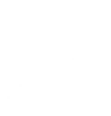 Mystical Black Raven Illustration Crow Artwork Women's Tank Top