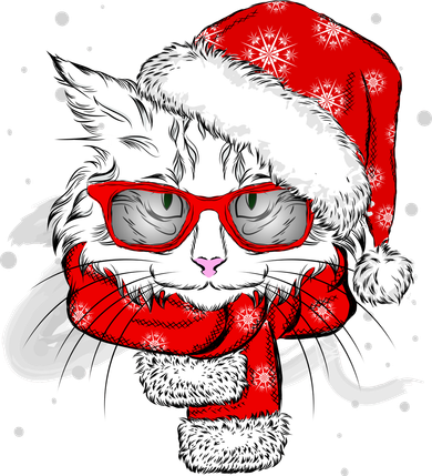 Hipster Christmas Cat Women's Hoodie