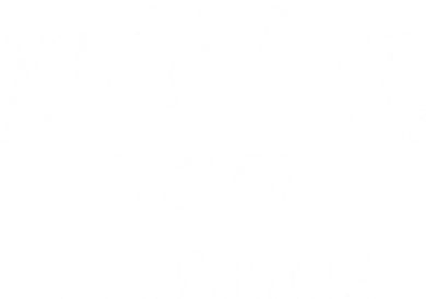 Modesto California Ca Vintage Established Sports Kids Long Sleeve Shirt