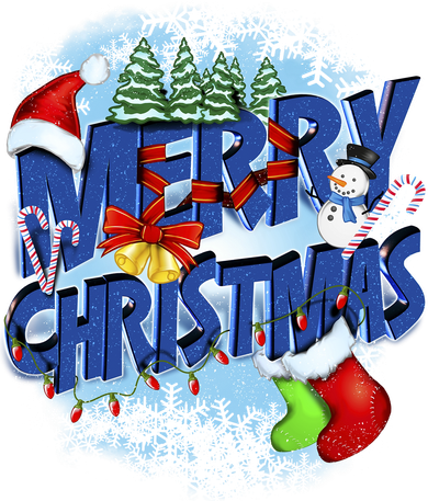 Merry Christmas Funy Holiday Logo Hat