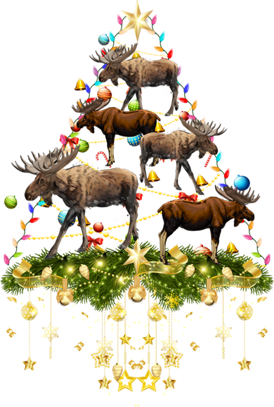 Mooses Christmas Tree Lights Holiday Moose Lover Cute Gift Women's Sweatshirt
