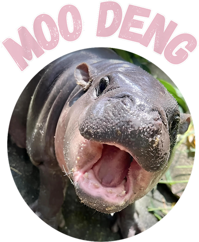 Moo Deng Bouncy Pig In Thai Picture The Cute Baby Hippo Gift Kids T-Shirt