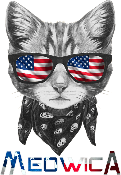 Meowica Rock Cat Funny 4th of July USA Freedom Women's Hoodie