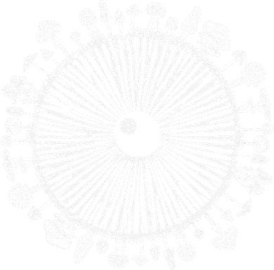 Mushroom Eye Mycology Foraging Magic Spore Print Graphic Women's T-Shirt
