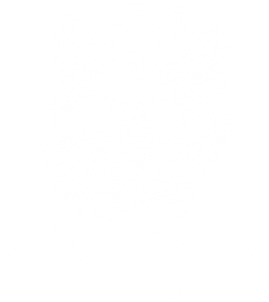 Meowdy Texas Cat Coffee Mug
