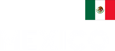 Mexico Country Flag Logo Polo