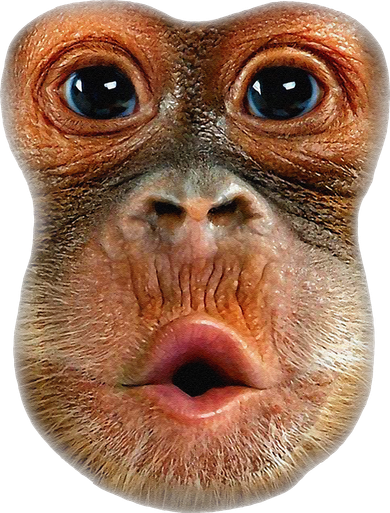 Monkey Face Breath Funny Baby Bodysuit