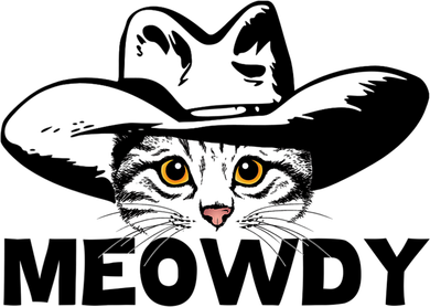 Meowdy Funny Mashup Between Meow And Howdy Cat Meme Coaster