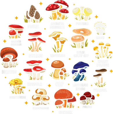 Mycology Fungi Mushroom Collector Hippie Fungus Plants Doggie Tank