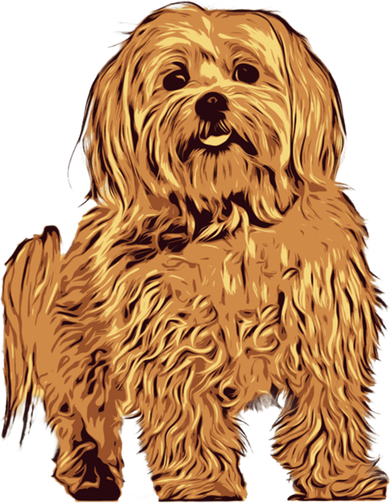 Maltese Gorgeous Pet Dog Lover Gift Tumbler