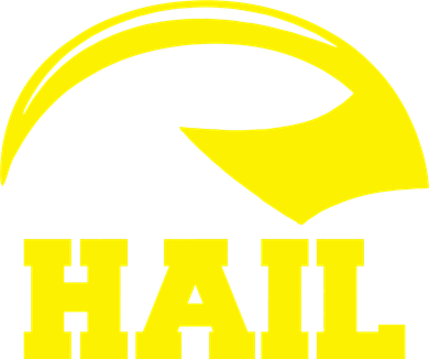 Hail Michigan Helmet Football Victors Coaster