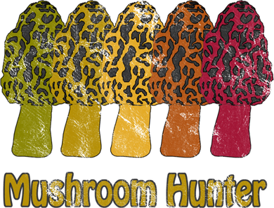 Mushroom Hunter Cute Gift Fun Morel Hunting Distressed Look Gift Long Sleeve Shirt