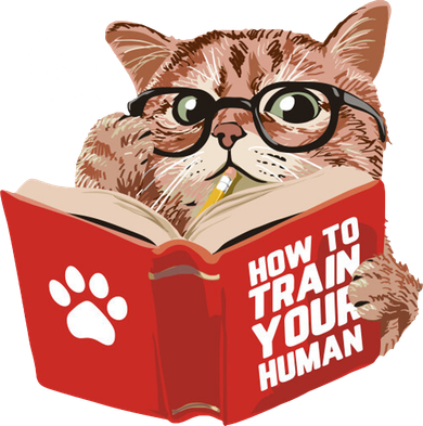 Meow How To Train Your Human Funny Cat Toddler T-Shirt