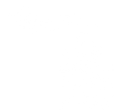 Michigan Home State Doggie Tank