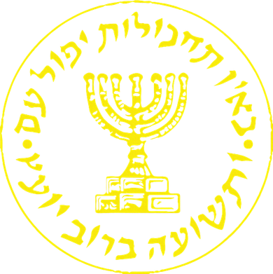 Mossad Idf Israel Secret Service Kids Hoodie