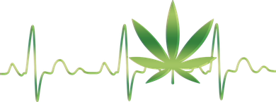 Marijuana Weed Leaf Heartbeat Pulse Women's Sweatshirt