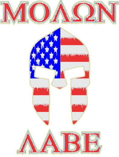 Molon Labe American Flag Spartan Helmet Greek Come and Take Doggie Tank