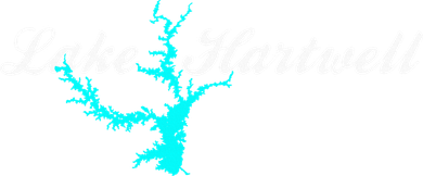 Minimalist Lake Hartwell Georgia South Carolina Apron