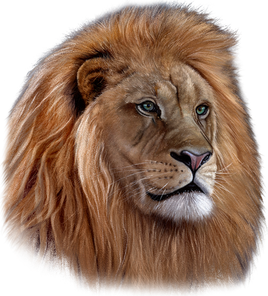 Majestic Lion Head Hat
