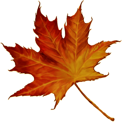 Maple Leaf Nature Apron