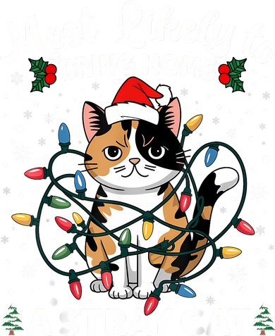 Most Likely To Bring Home A Stray Cat Matching Christmas Women's T-Shirt