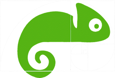 Math Mathematics Fibonacci Sequence Chameleon Golden Ratio Doddie Hoodie