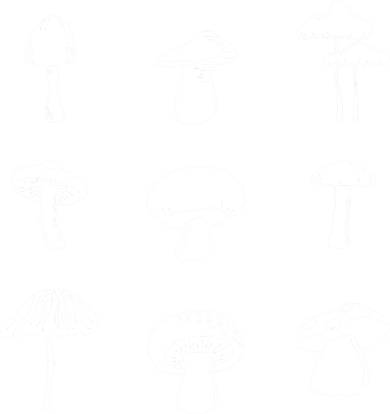 Mushroom Mycology Mushroom Whisperer Fungi Foraging Tote Bag