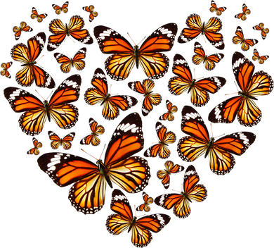 Monarch Butterfly Heart Doggie Tank