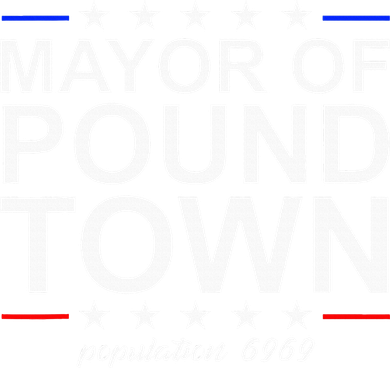 Mayor Of Pound Town Funny Adult Humor Pound Town Women's Tank Top