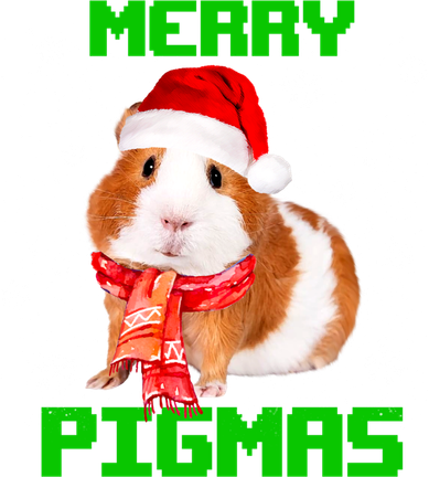 Merry Pigmas Christmas Guinea Pig Santa Hat Light In Snow Great Gift Kids Hoodie