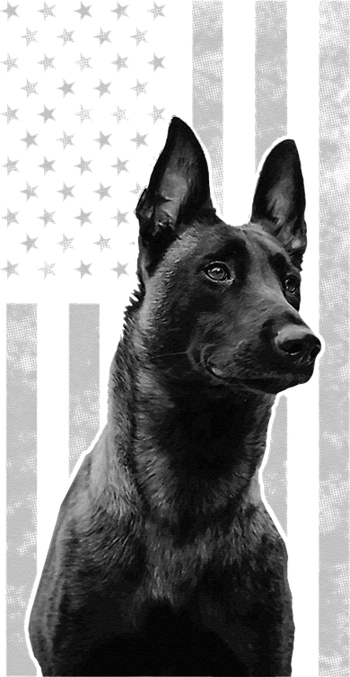 Malinois Police Dog Proud Owner USA K9 Police Canine Handler Women's T-Shirt