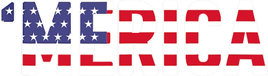 'Merica Patriotic Flag USA United States America Novelty Women's T-Shirt