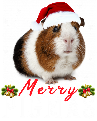 Merry Pigmas Face Mask Funny Guinea Pig Christmas Santa Xmas Kids Hoodie